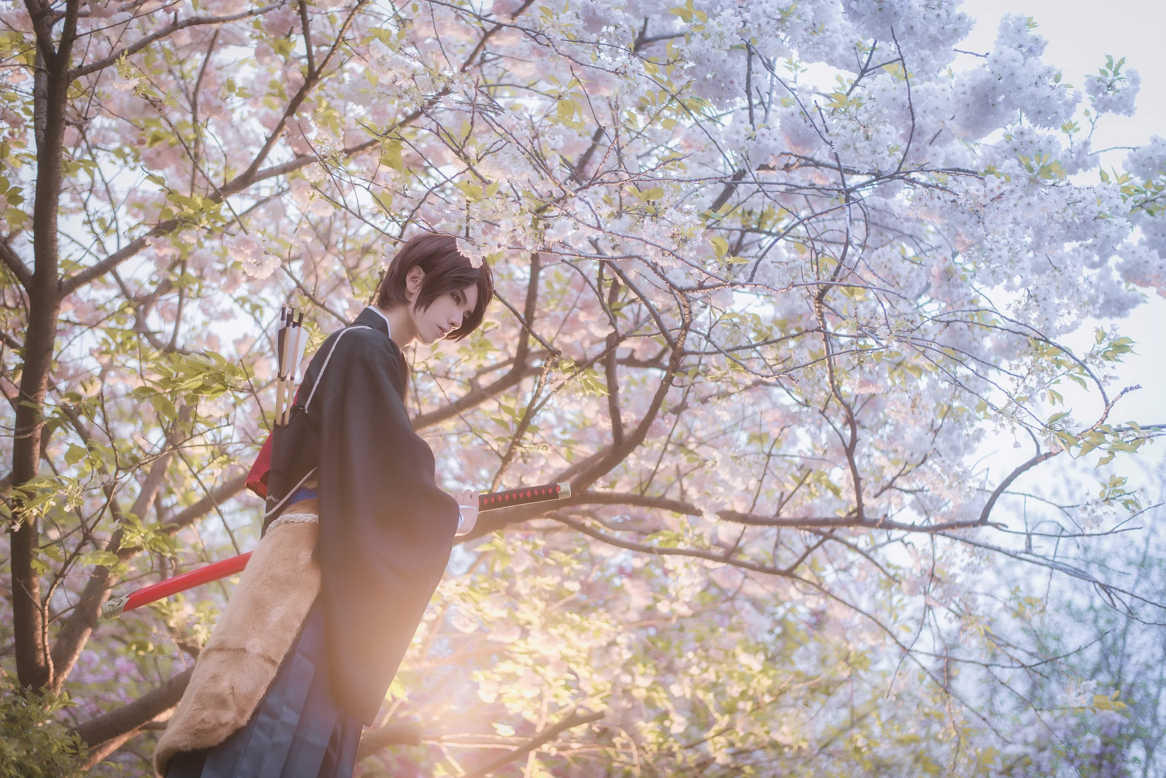 刀剑乱舞加州清光COS写真，果然樱花和武士刀也是一种浪漫~