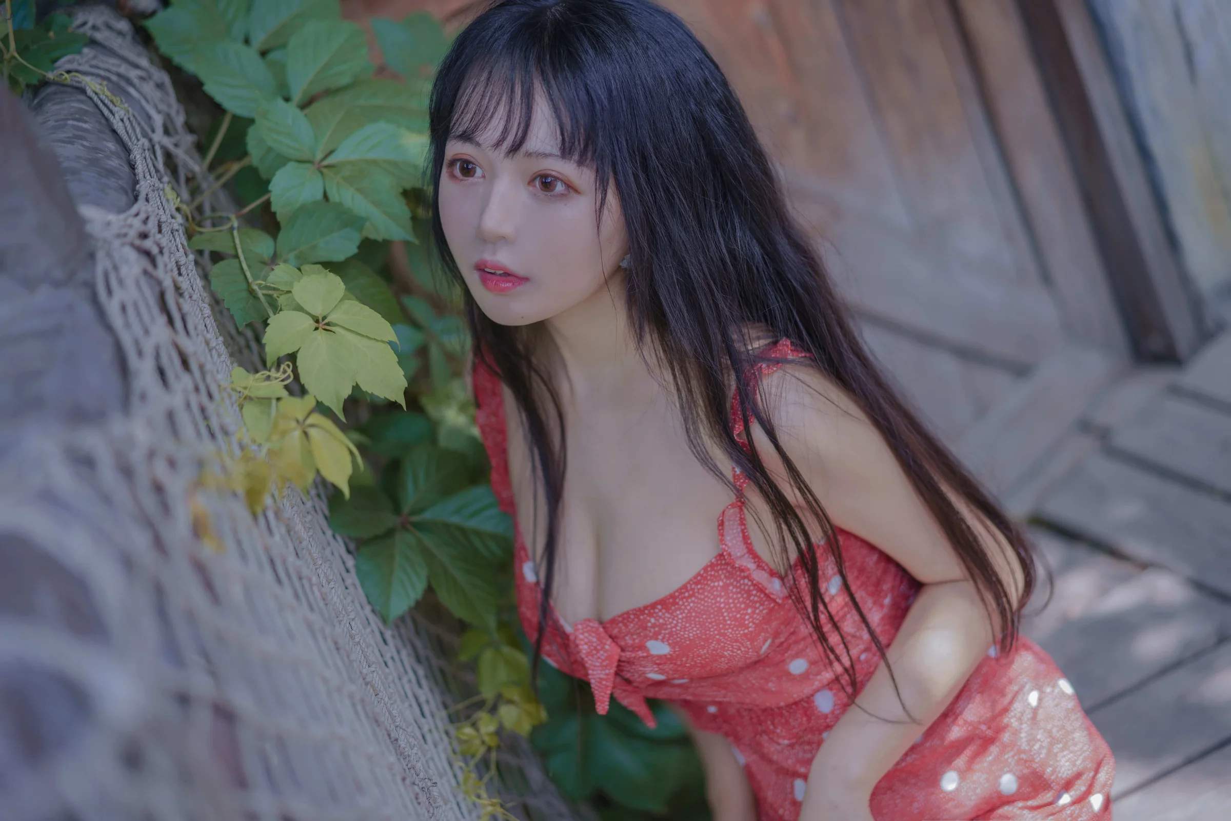 黑猫猫-草莓｜高清图片集
