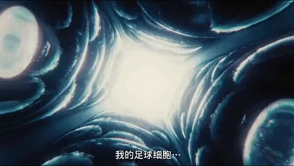 还有什么比踢球更有趣的事情吗？｜高清图片集