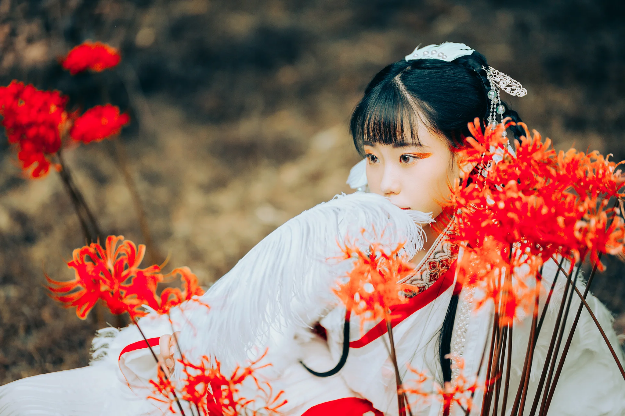 汉服私影｜高清图片集
