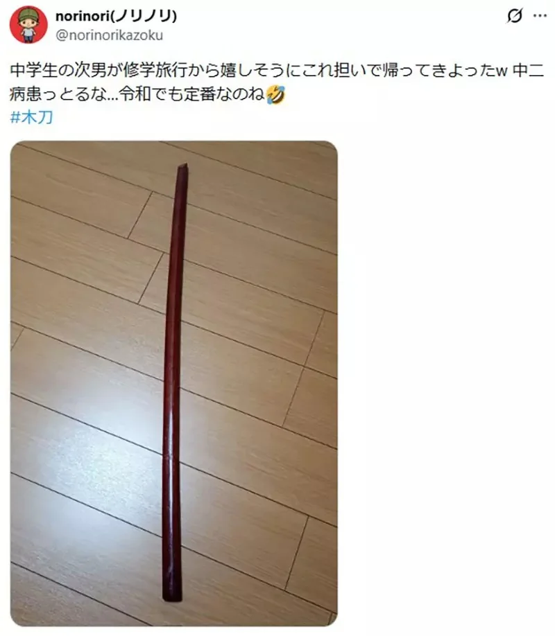 日本媽媽不懂為什麼《小孩參加校外教學都要買木刀》網友們都來分享木刀的魅力了｜高清图片集