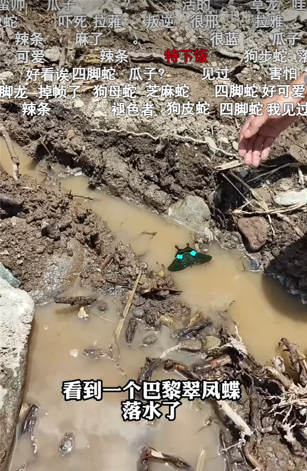 B站百大UP主名单出来后，为什么有人会不同意？｜高清图片集