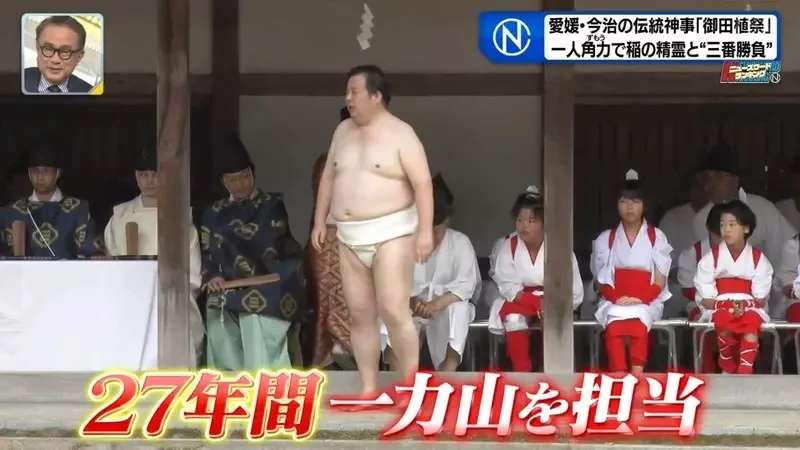 日本奇妙祭典《跟稻田精靈比相撲》唯一的力士後繼無人好苦惱｜高清图片集
