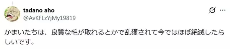 《鎌鼬消失了》曾經是盛行日本的妖怪 最近卻沒聽說有人被牠割傷了？｜高清图片集