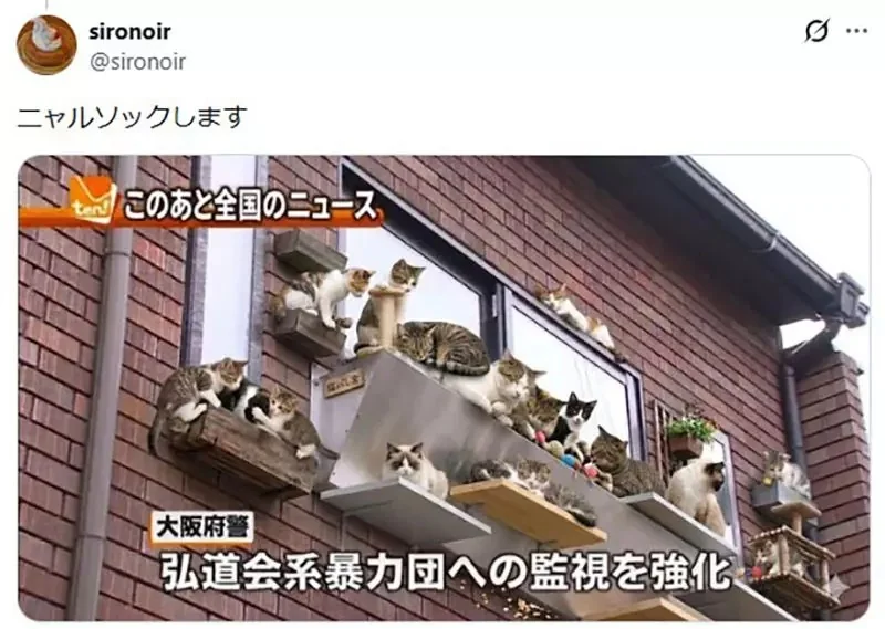 《日本黑道據點》為什麼要在窗戶加裝金屬片？這是某種防禦措施嗎？｜高清图片集