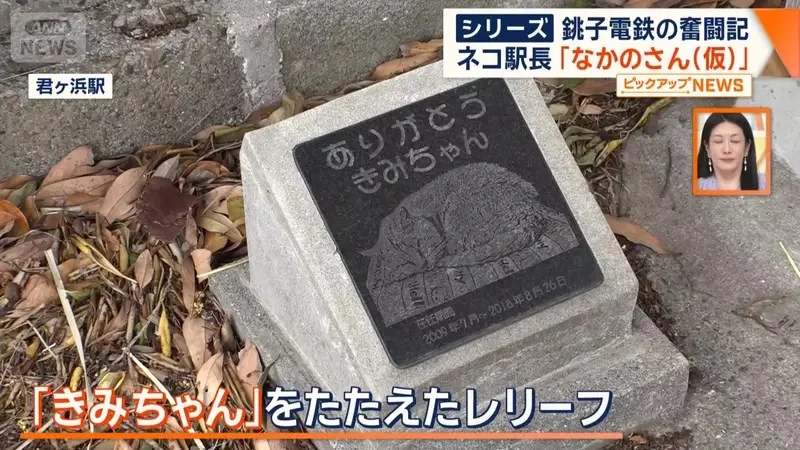 銚子電鐵《新貓咪站長上任》該不該拿掉名字裡的（暫定）成了下一個議題｜高清图片集