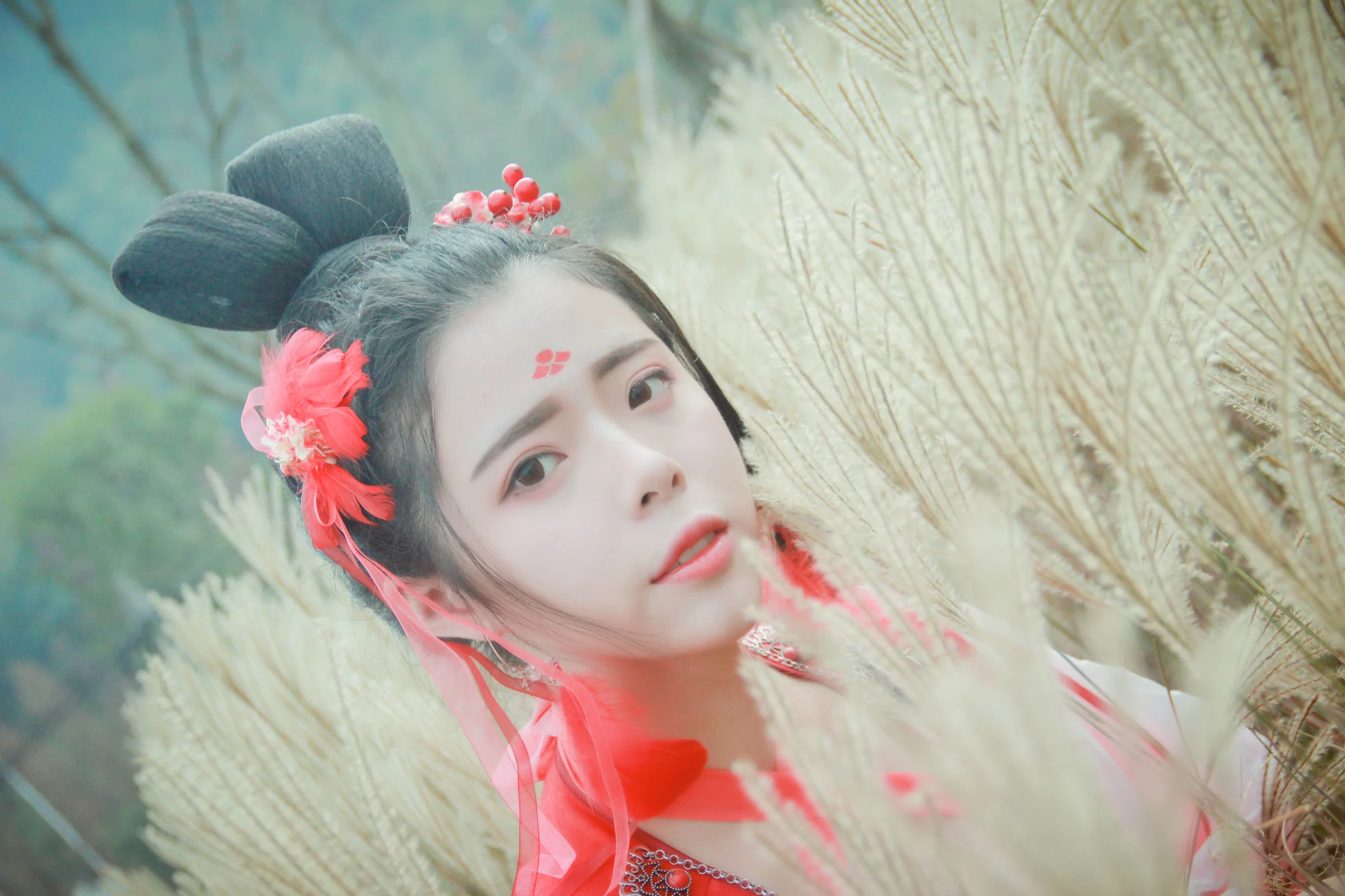 小凰不是仙 田真COS写真