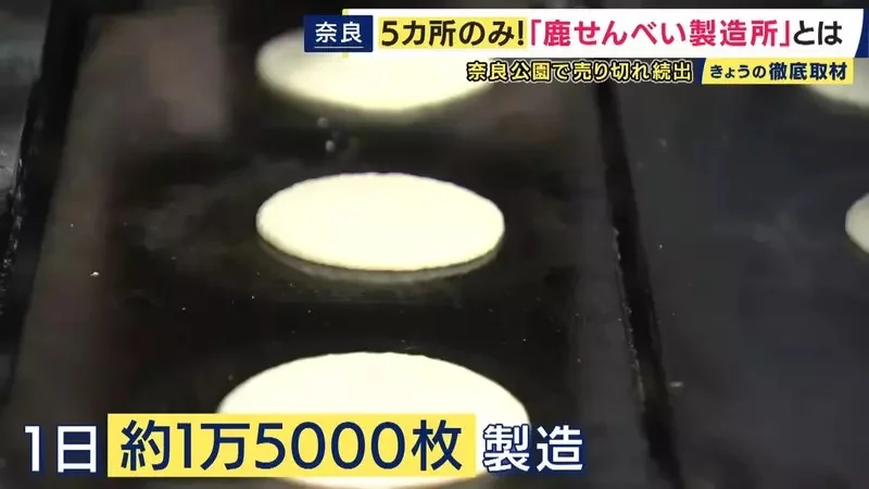 《奈良鹿仙貝售罄問題》最近觀光客想買都買不到？原來有難以提高產量的理由……｜高清图片集