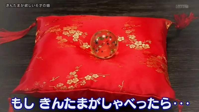 《想要蛋蛋的小女孩》哥哥和爸爸都各有兩顆 為什麼不能分一顆給她呢？｜高清图片集
