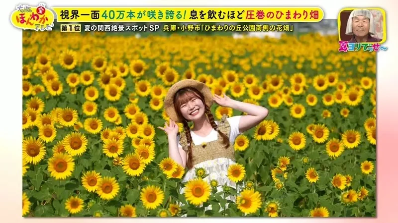 職業攝影師推薦《日本關西地區５大必拍景點》今年夏天不拍就要等明年｜高清图片集