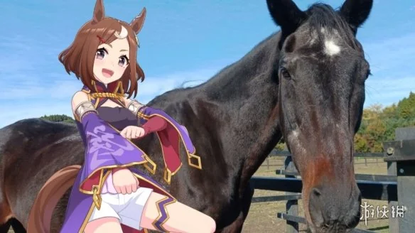 快不剩几匹了 《赛马娘》鹤丸刚志角色原型马离世｜高清图片集