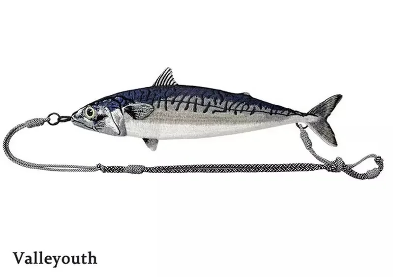 海洋系潮流小物《鯖魚肩背包》宛如剛釣魚回來整條街就屬你最趴｜高清图片集