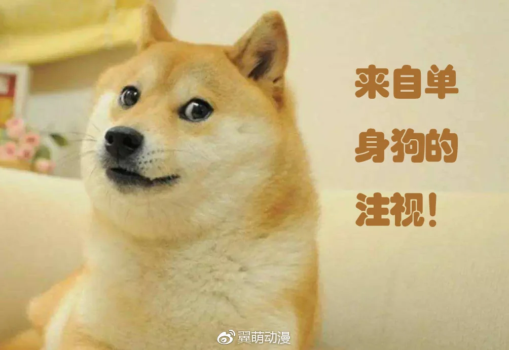 日本动画业界再曝辛酸现状！新恒结衣人妻属性再现！｜高清图片集