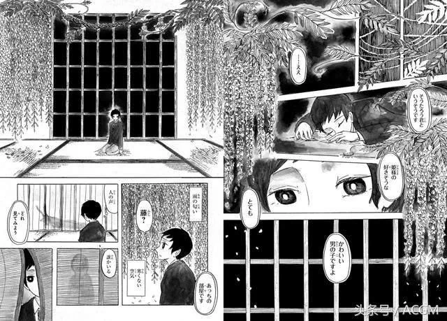 信息量太大！雌雄同体的公主爱上男装女孩！｜高清图片集