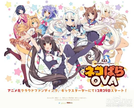 《NEKOPARA》动画众筹12月29日开启 不是所有猫都能吸引你｜高清图片集