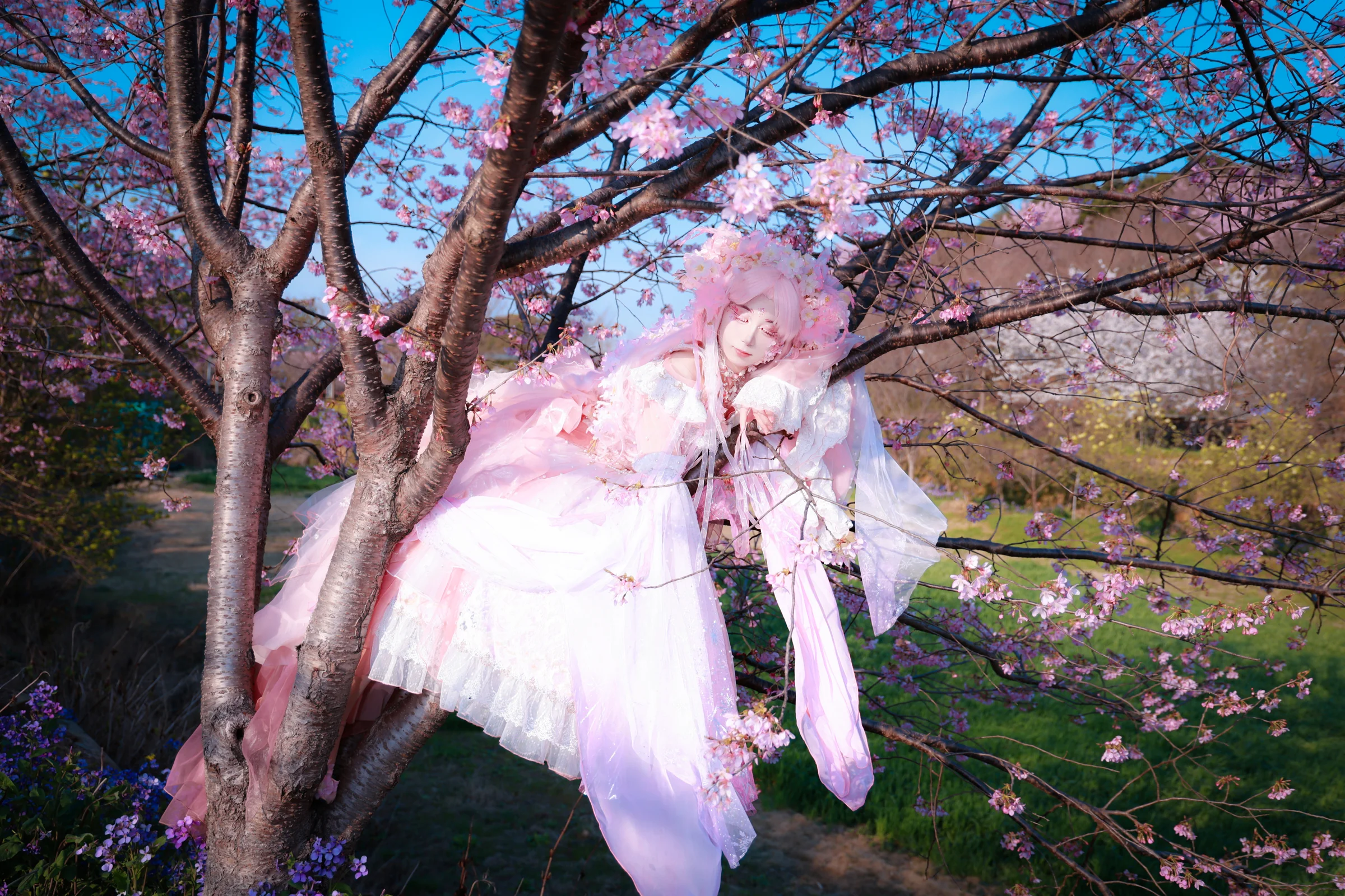 樱花拟人COS写真