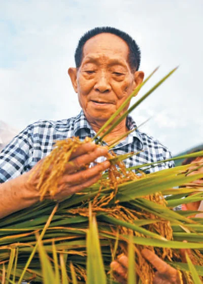 “杂交水稻之父”袁隆平院士：一稻济世 万家粮足｜高清图片集