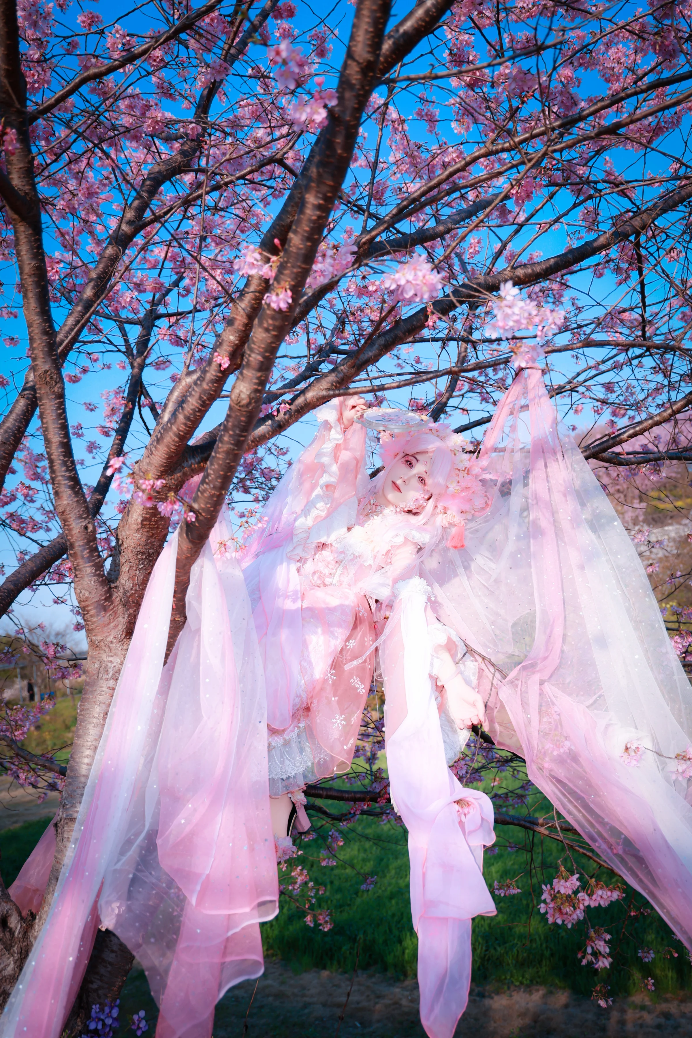 樱花拟人COS写真