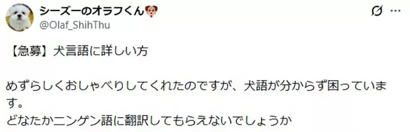 引爆全日本飼主瘋狂的《謎之狗叫聲》所有狗狗聽到都會做出超可愛反應｜高清图片集