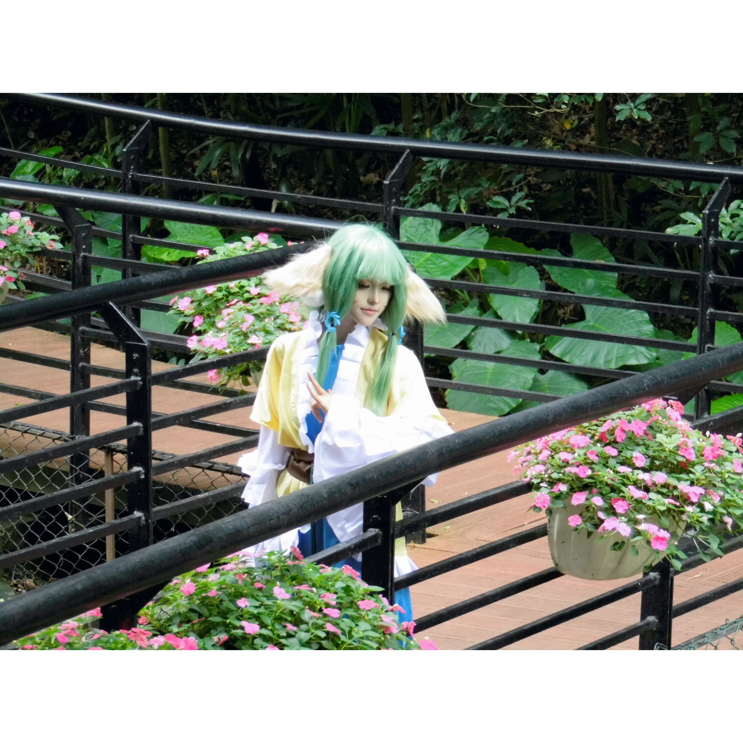 《狐妖小红娘》｜高清图片集