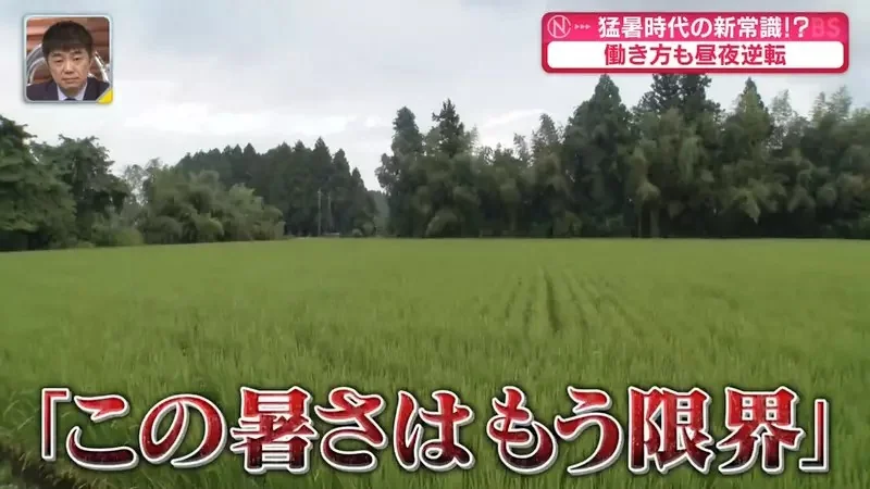 日本寺廟推行《晚上掃墓》可以避免中暑但是不會很可怕嗎？｜高清图片集