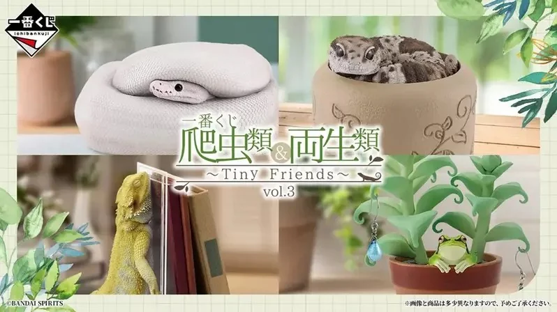 一番賞《爬蟲類＆兩棲類 Tiny Friends vol.3》將於8月29號正式發售，可愛商品如鬃獅蜥書擋外加球蟒衛生紙抽等都超有魅力｜高清图片集