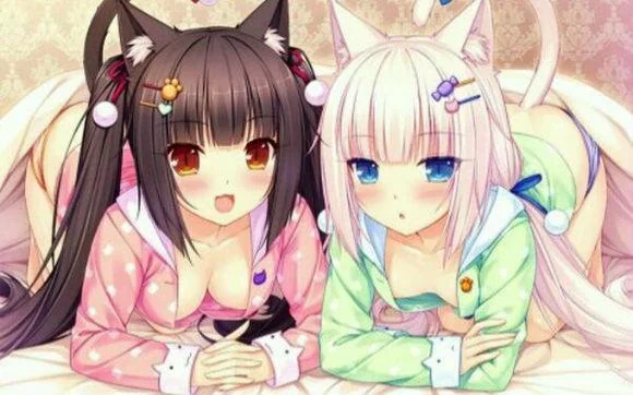 犬系猫系干物妹玩腻了 日本人开始爱上野猫妹｜高清图片集