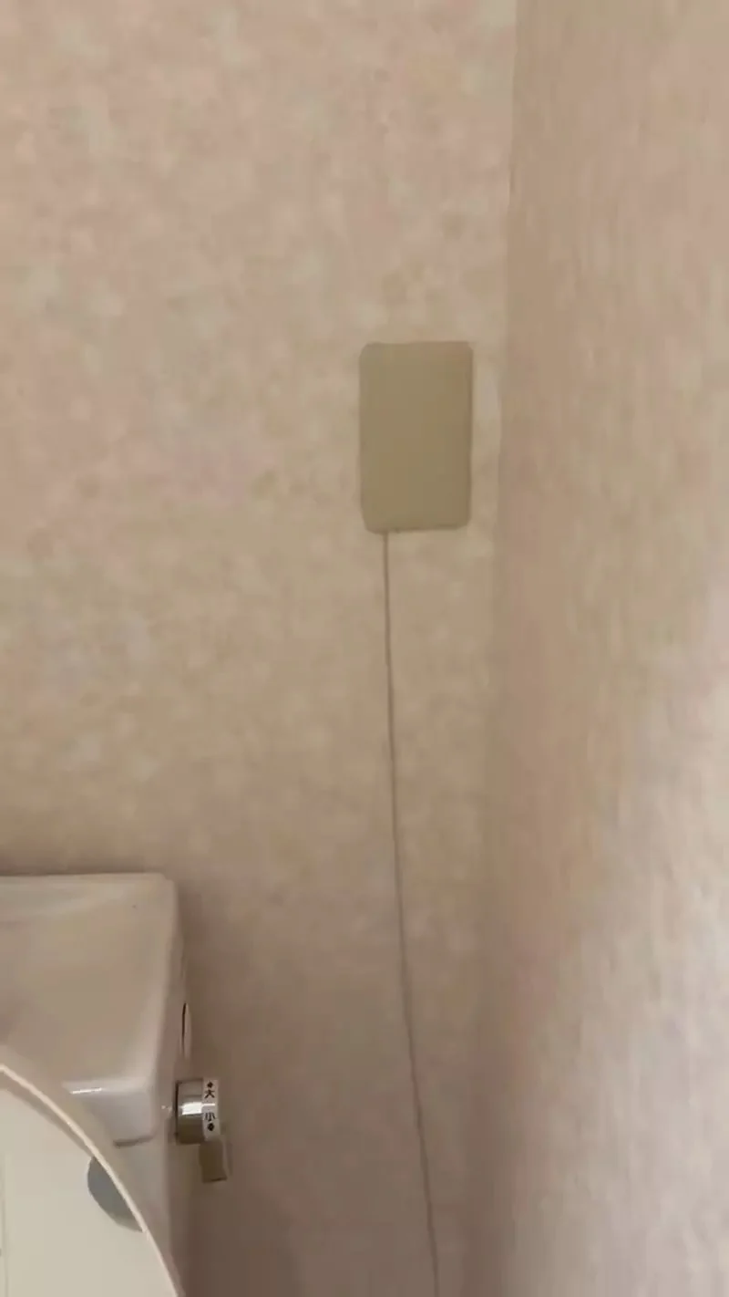《在廁所架伺服器的人》其實這麼做好處多多？卻被日本網友吐槽壞處也很多｜高清图片集