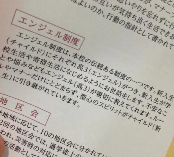 《圣母在上》的制度真实存在｜高清图片集