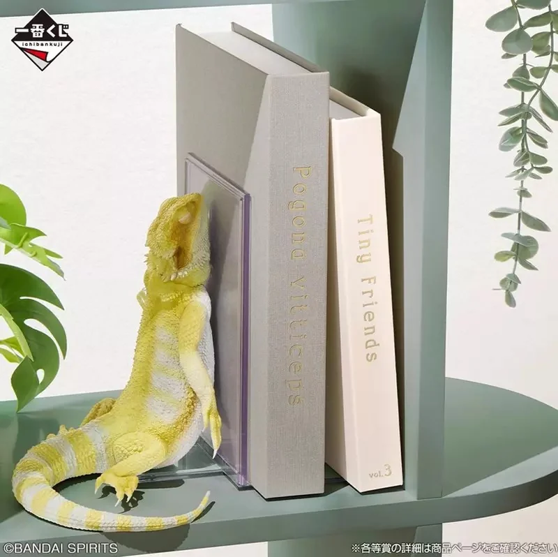 一番賞《爬蟲類＆兩棲類 Tiny Friends vol.3》將於8月29號正式發售，可愛商品如鬃獅蜥書擋外加球蟒衛生紙抽等都超有魅力｜高清图片集