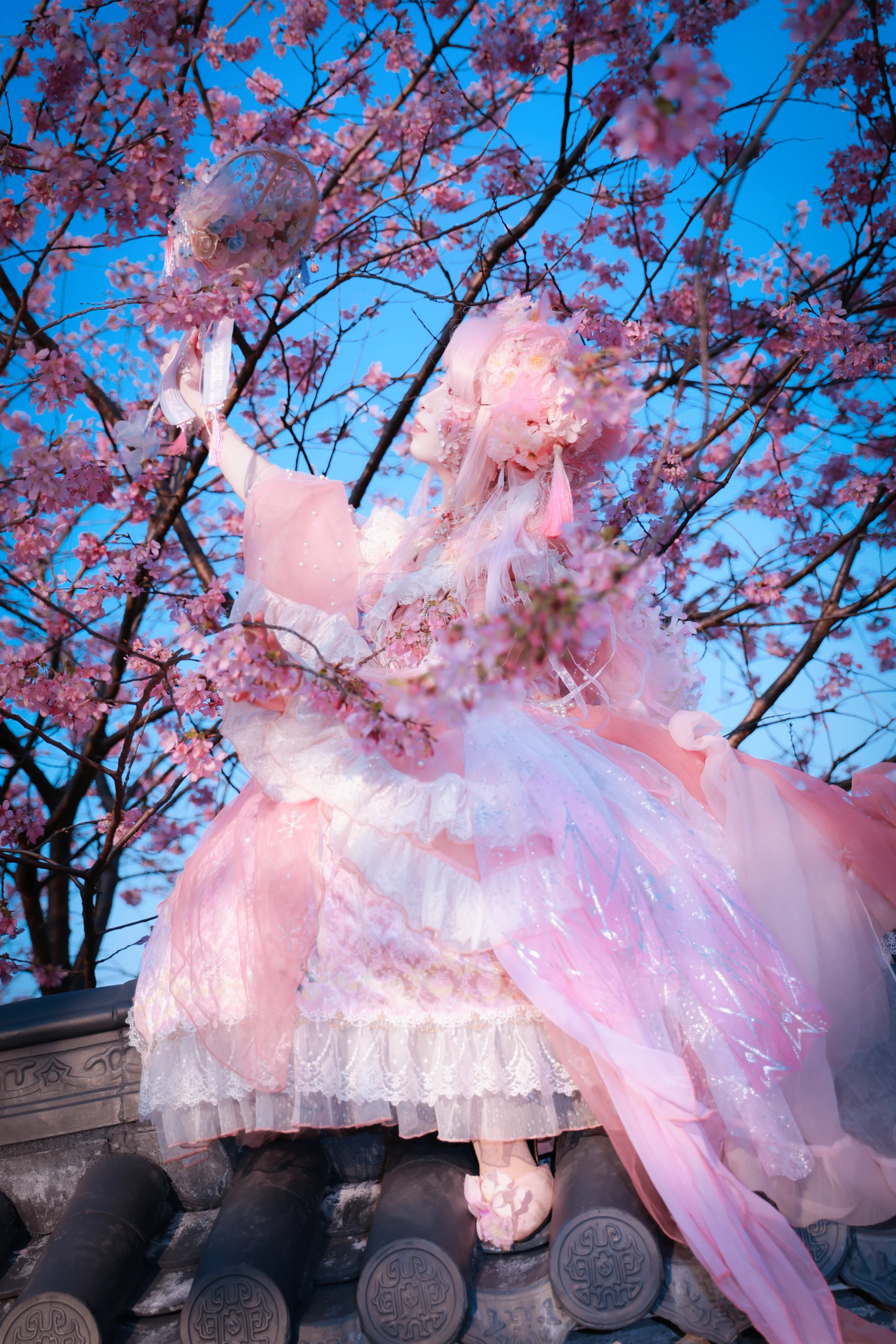 樱花拟人COS写真
