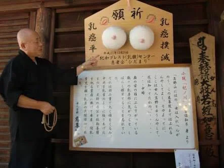 消灭乳腺癌？普及性知识？日本发售少女葡萄巧克力｜高清图片集