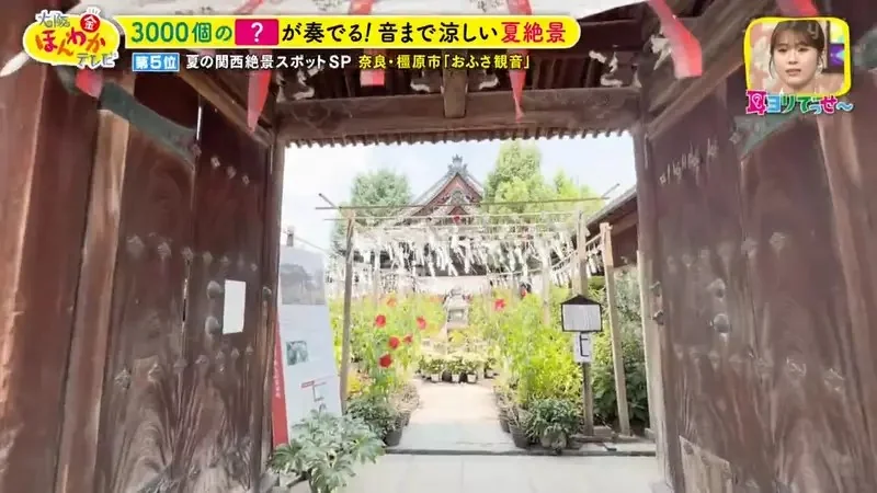 職業攝影師推薦《日本關西地區５大必拍景點》今年夏天不拍就要等明年｜高清图片集