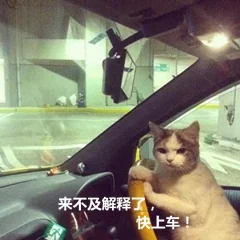 「姐姐的所有物」单行本发售！孤独少年与恶魔姐姐间的恋爱物语~｜高清图片集