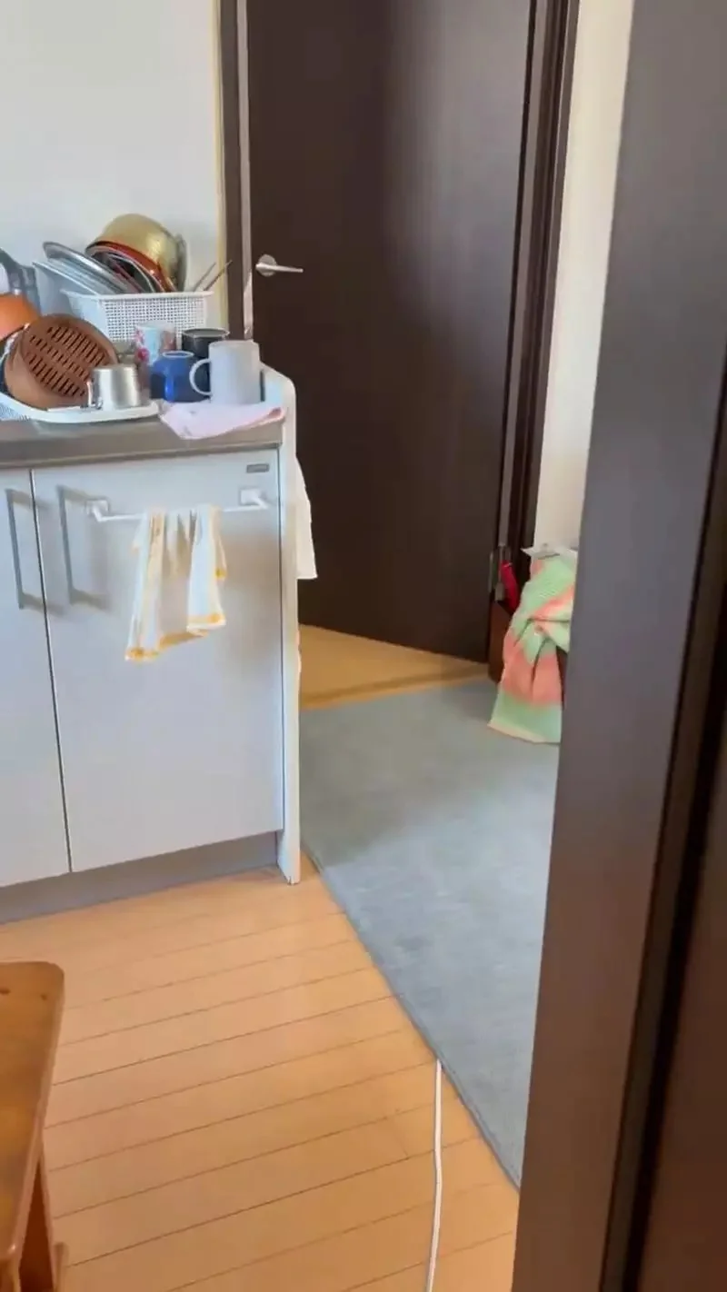 《在廁所架伺服器的人》其實這麼做好處多多？卻被日本網友吐槽壞處也很多｜高清图片集