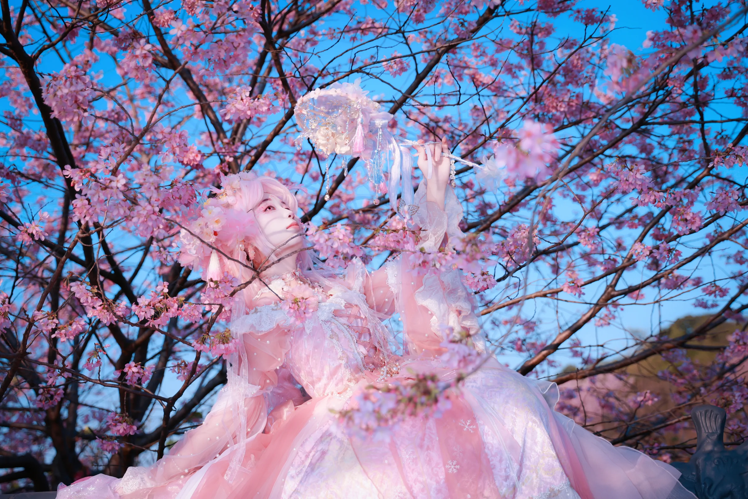 樱花拟人COS写真