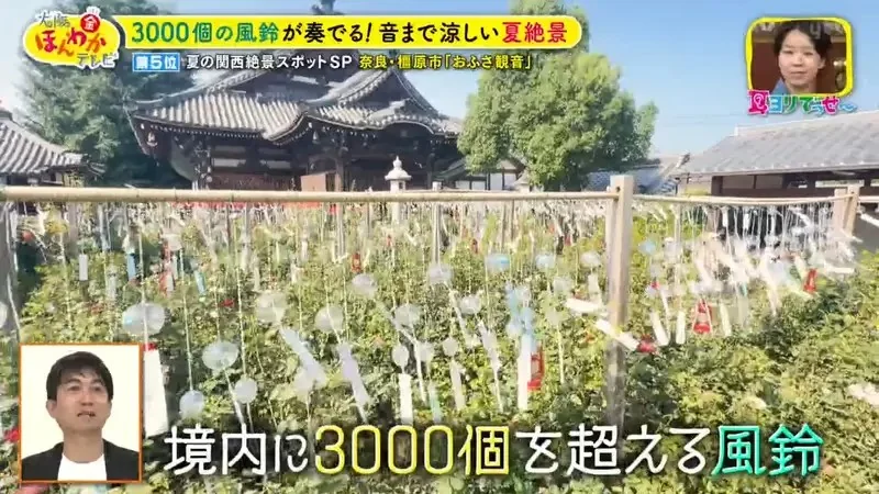 職業攝影師推薦《日本關西地區５大必拍景點》今年夏天不拍就要等明年｜高清图片集