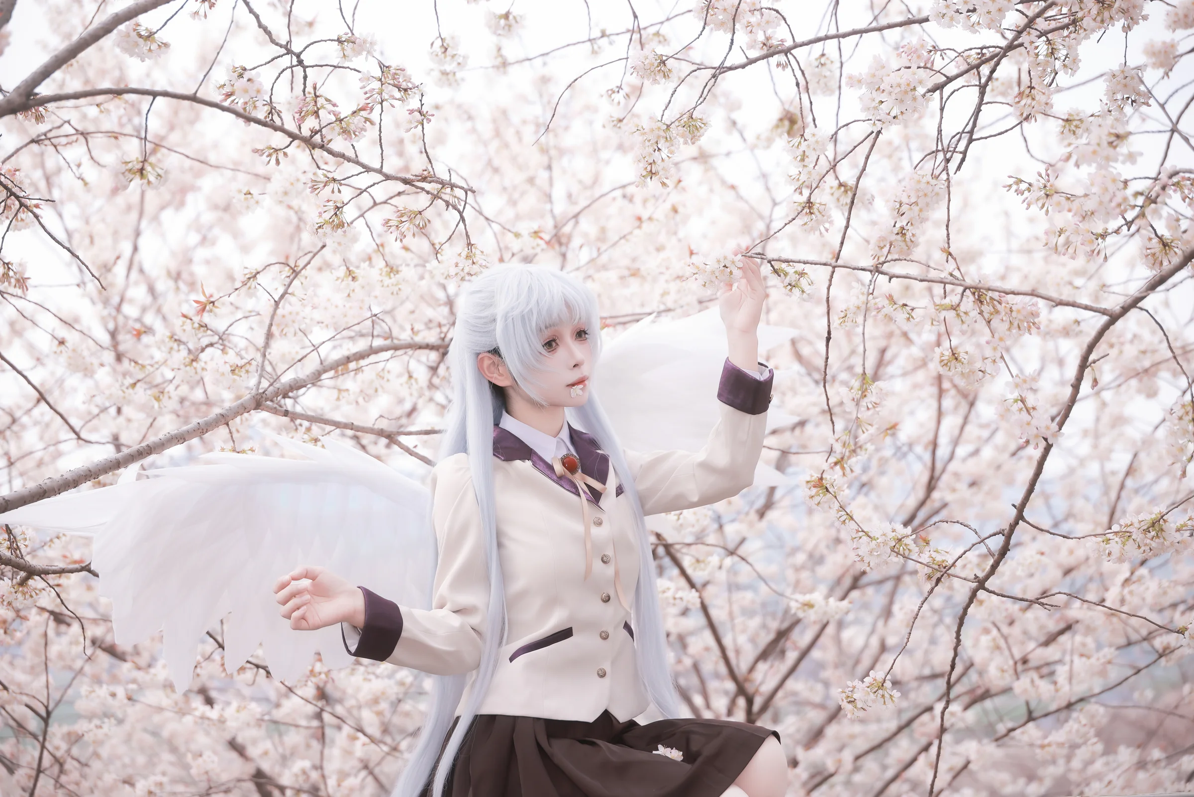 《Angel Beats!》立华奏COS写真