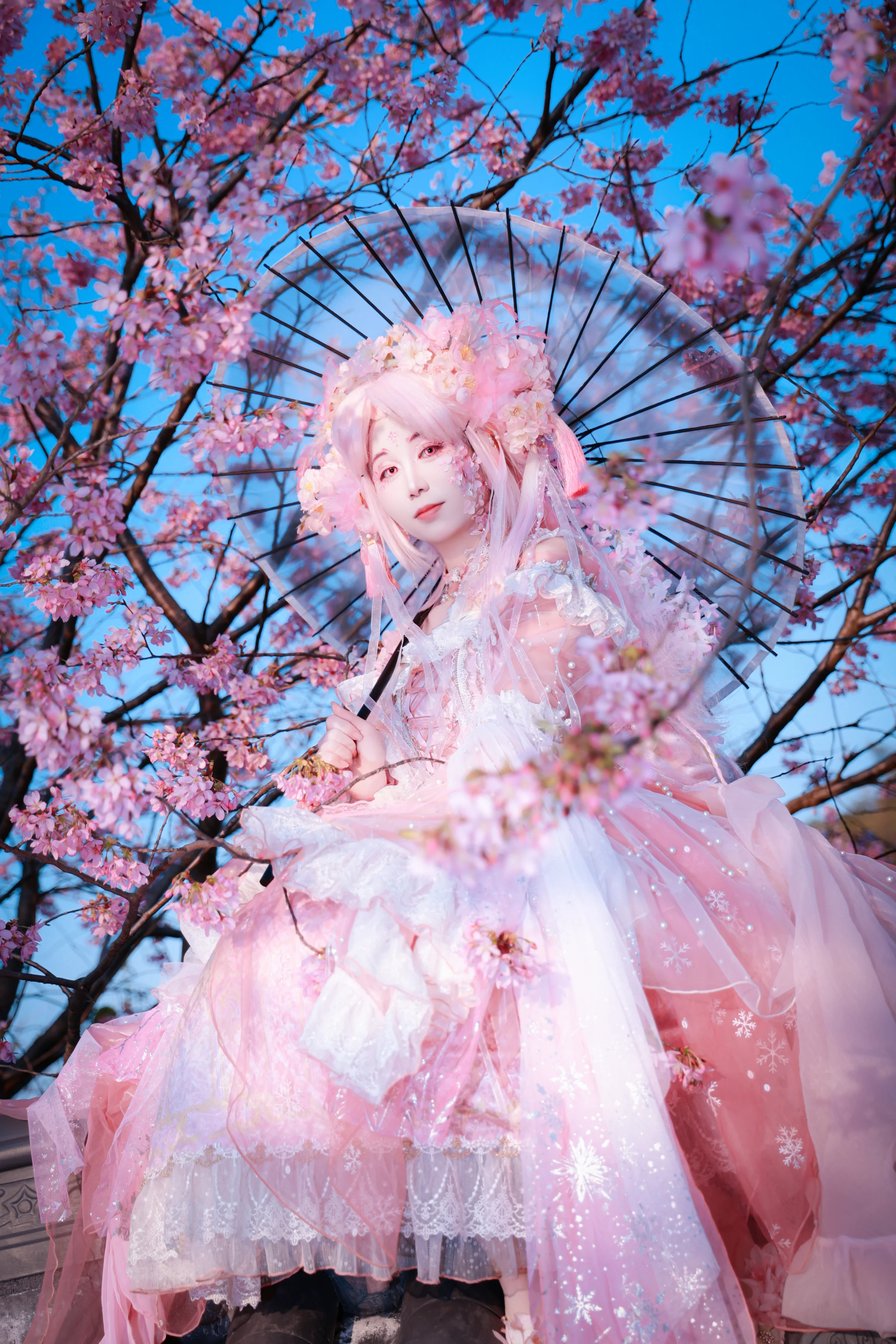 樱花拟人COS写真