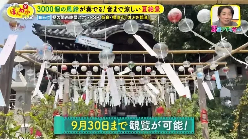 職業攝影師推薦《日本關西地區５大必拍景點》今年夏天不拍就要等明年｜高清图片集