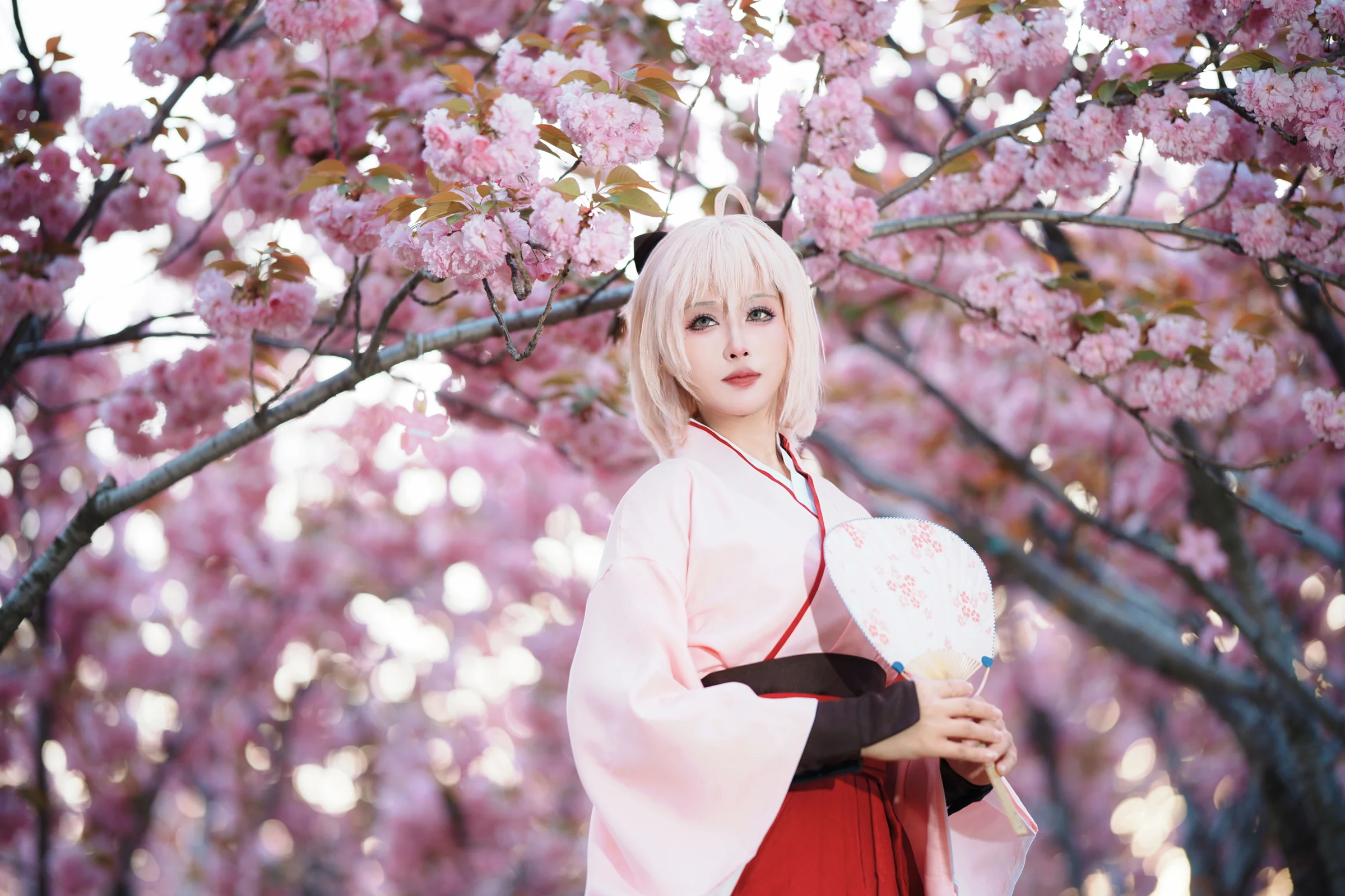 fate 冲田总司 澪绫COS写真新作