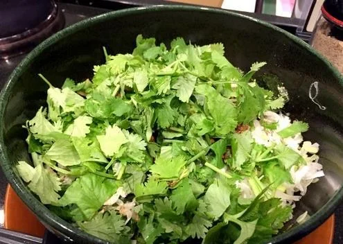 香菜料理成为日本美食界冠军｜高清图片集