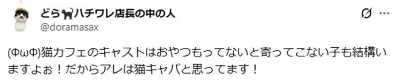 家裡有養貓卻還去《貓咪咖啡廳》這種心態是不是跟男人上酒店一樣？｜高清图片集