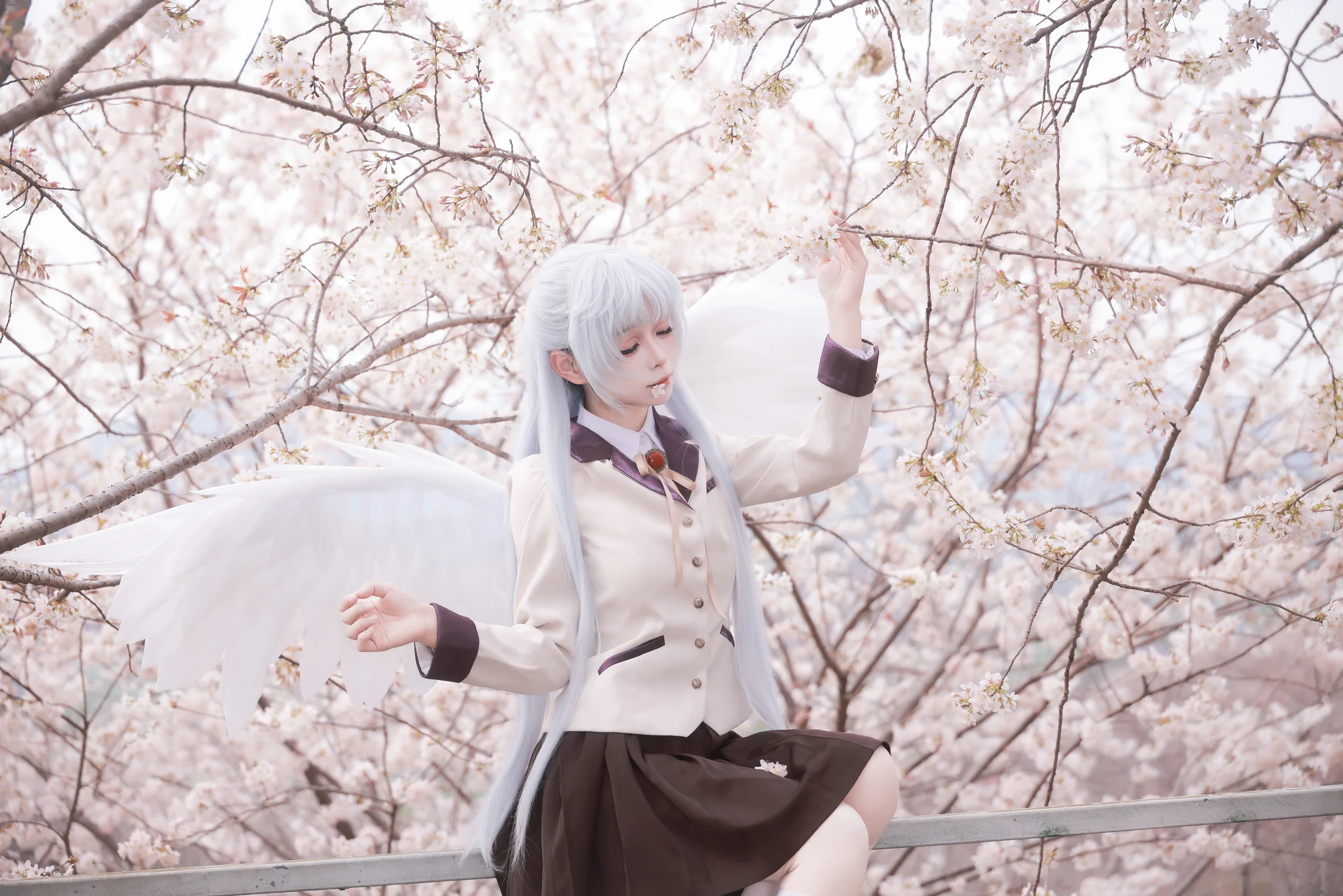 《Angel Beats!》立华奏COS写真