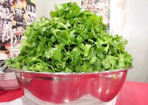 香菜料理成为日本美食界冠军｜高清图片集