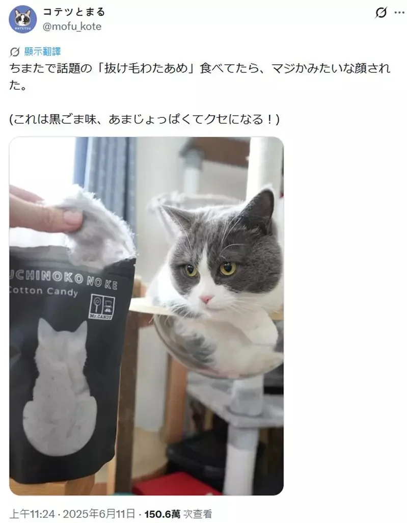 酷似貓毛的奇特商品《UCHINOKO NO KE》難道日本開始流行吃貓毛？其實真相是「棉花糖」，而且推出後貓奴們完全抗拒不了｜高清图片集