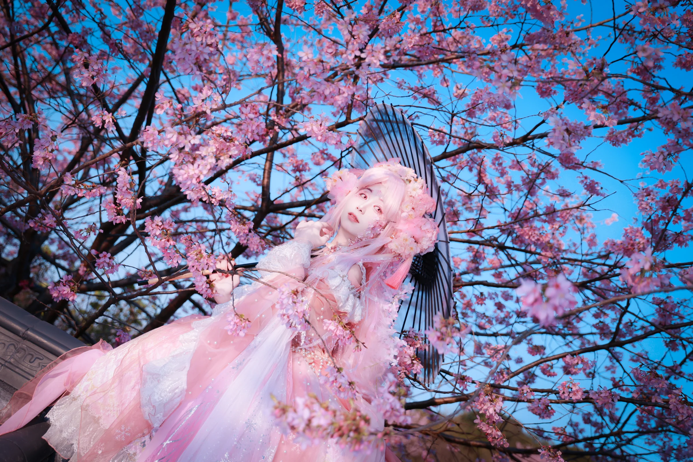 樱花拟人COS写真