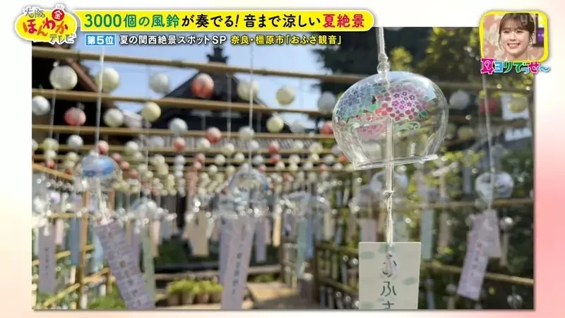 職業攝影師推薦《日本關西地區５大必拍景點》今年夏天不拍就要等明年｜高清图片集