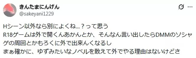 日本玩家《在新幹線上玩成人遊戲》有人罵他敗壞圈子名聲有人覺得無所謂｜高清图片集