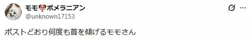 引爆全日本飼主瘋狂的《謎之狗叫聲》所有狗狗聽到都會做出超可愛反應｜高清图片集